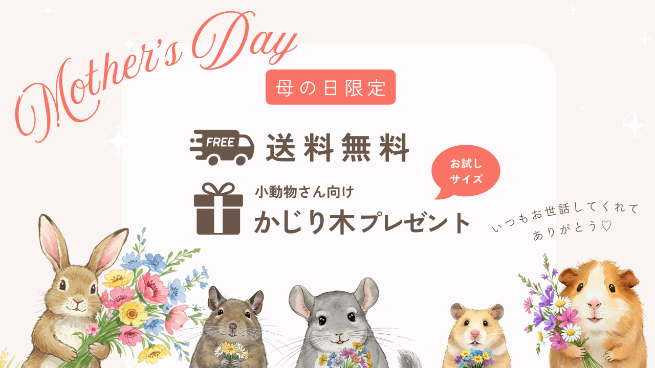 母の日限定】送料無料＆かじり木プレゼント！ – ギフペット