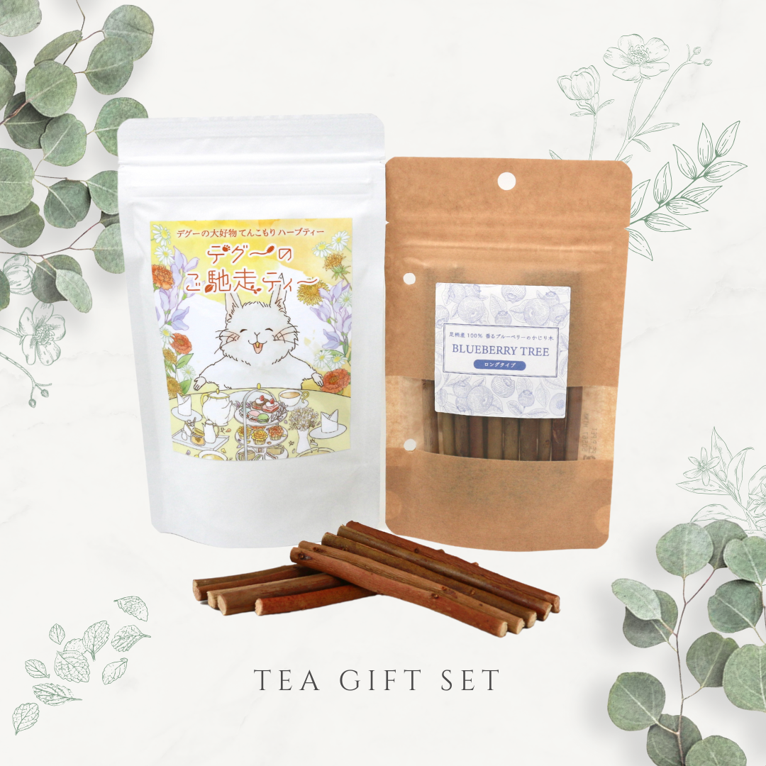 デグーと楽しむお茶&ブルーベリーのかじり木セット【がんものお店】