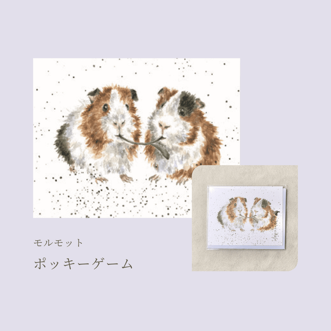 レンデール ミニメッセージカード