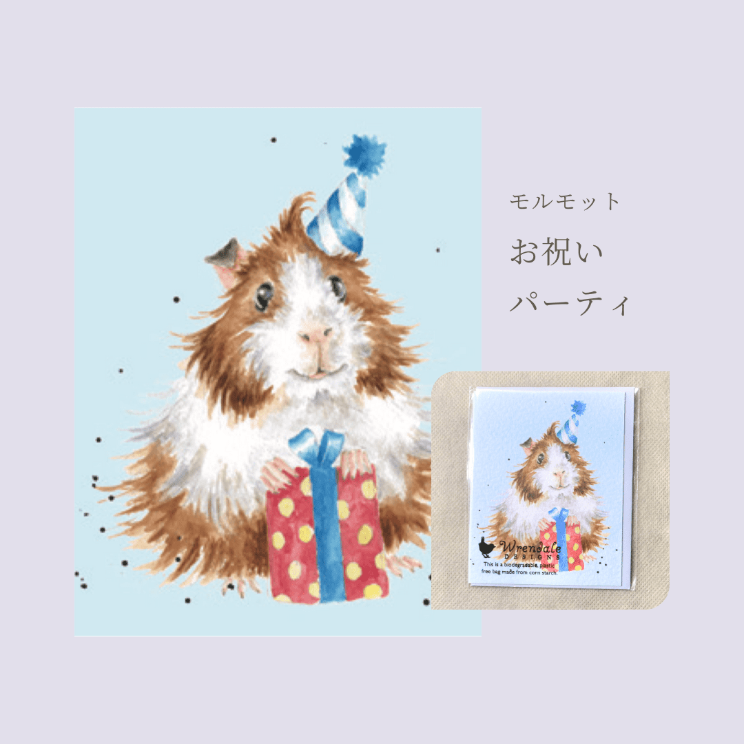レンデール ミニメッセージカード