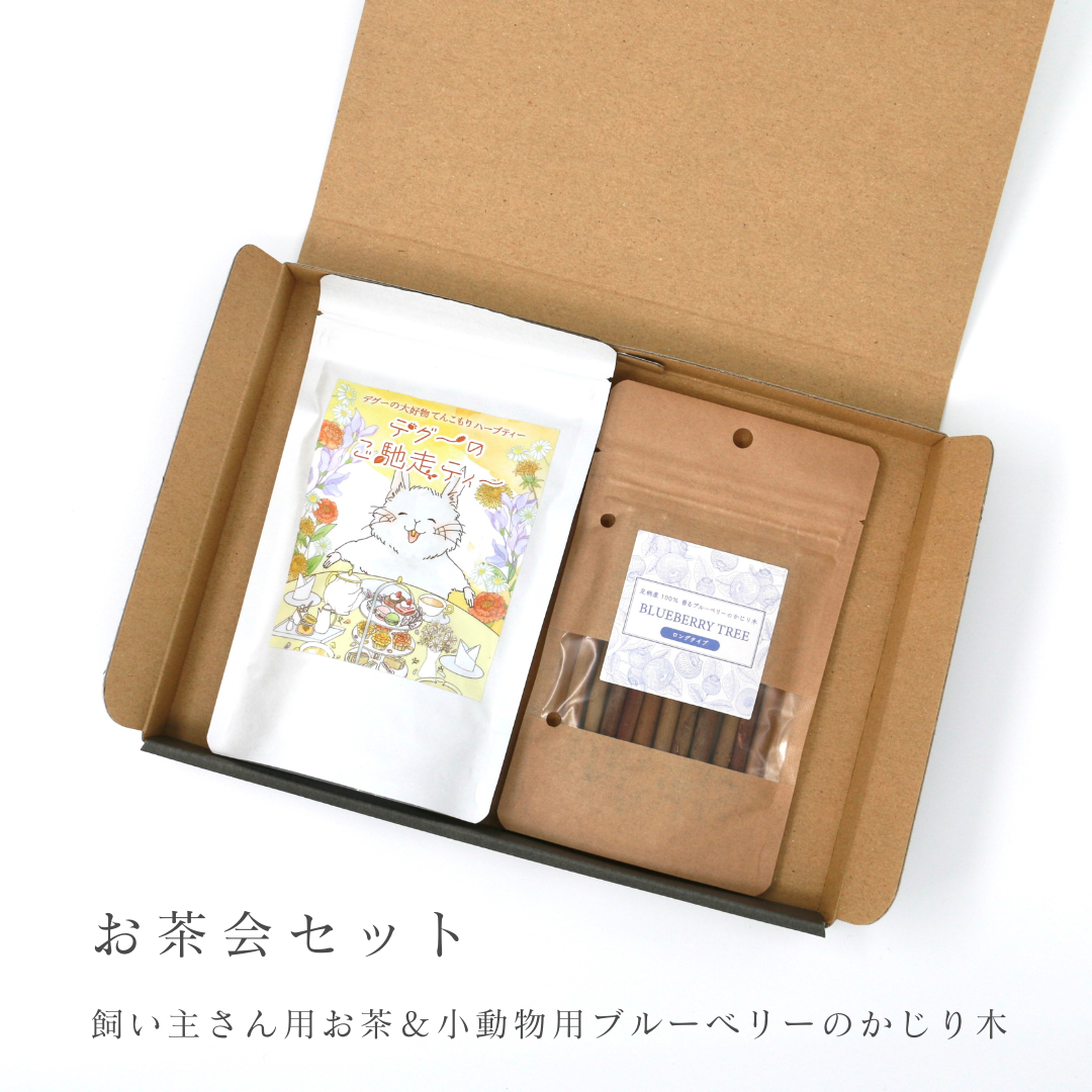 デグーと楽しむお茶&ブルーベリーのかじり木セット【がんものお店】