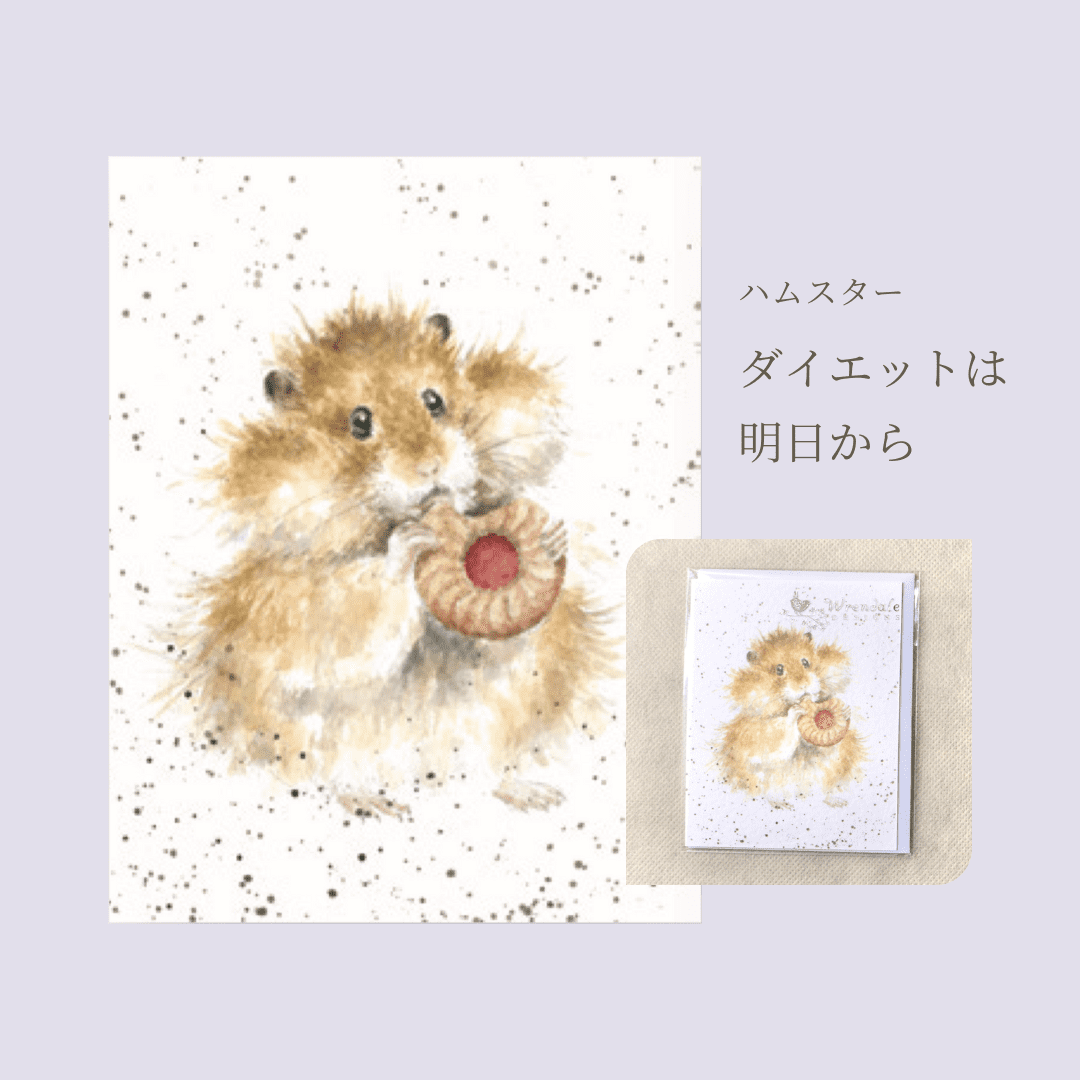 レンデール ミニメッセージカード