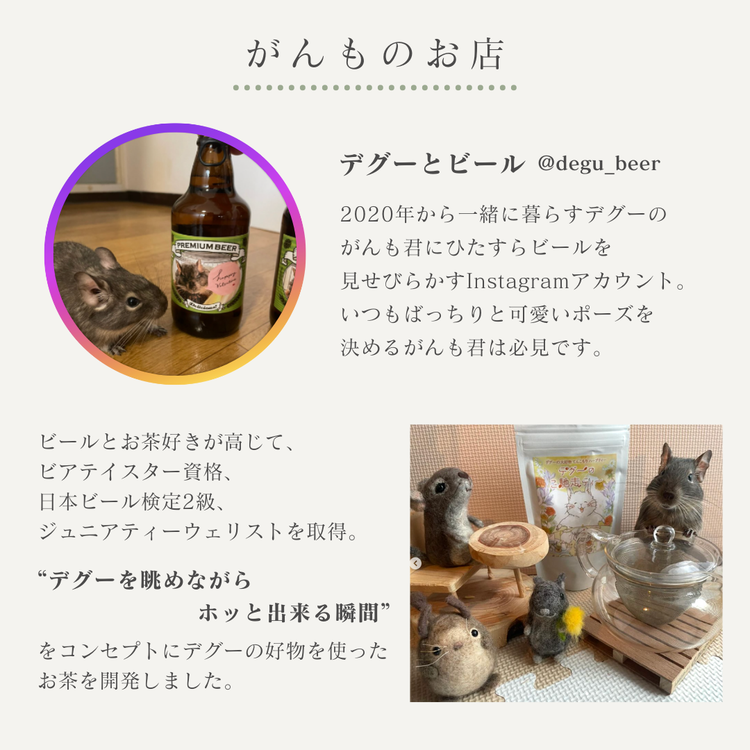 デグーと楽しむお茶&ブルーベリーのかじり木セット【がんものお店】