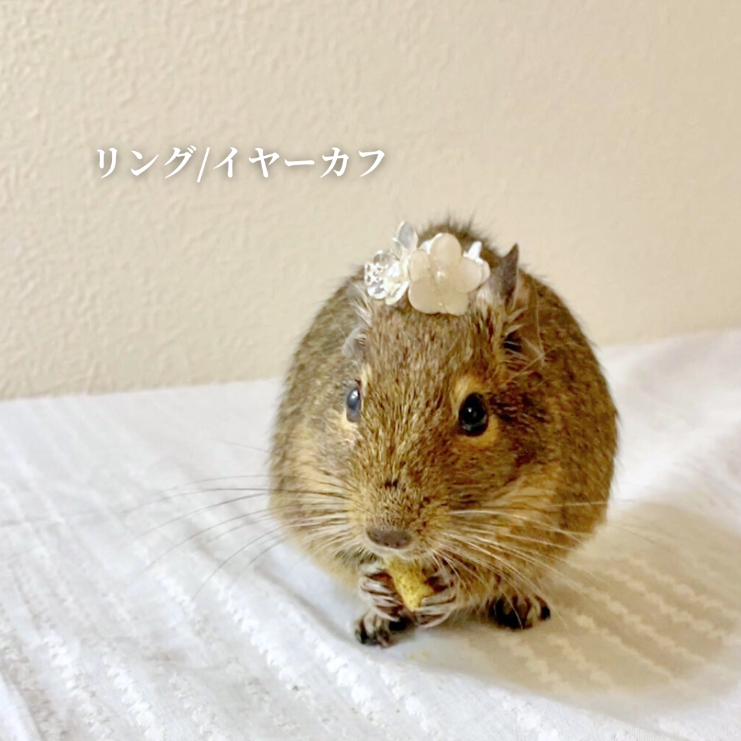 小動物と一緒に使える花冠のアクセサリー【Ggt】