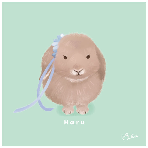 Raliccoオーダーメイドイラスト
