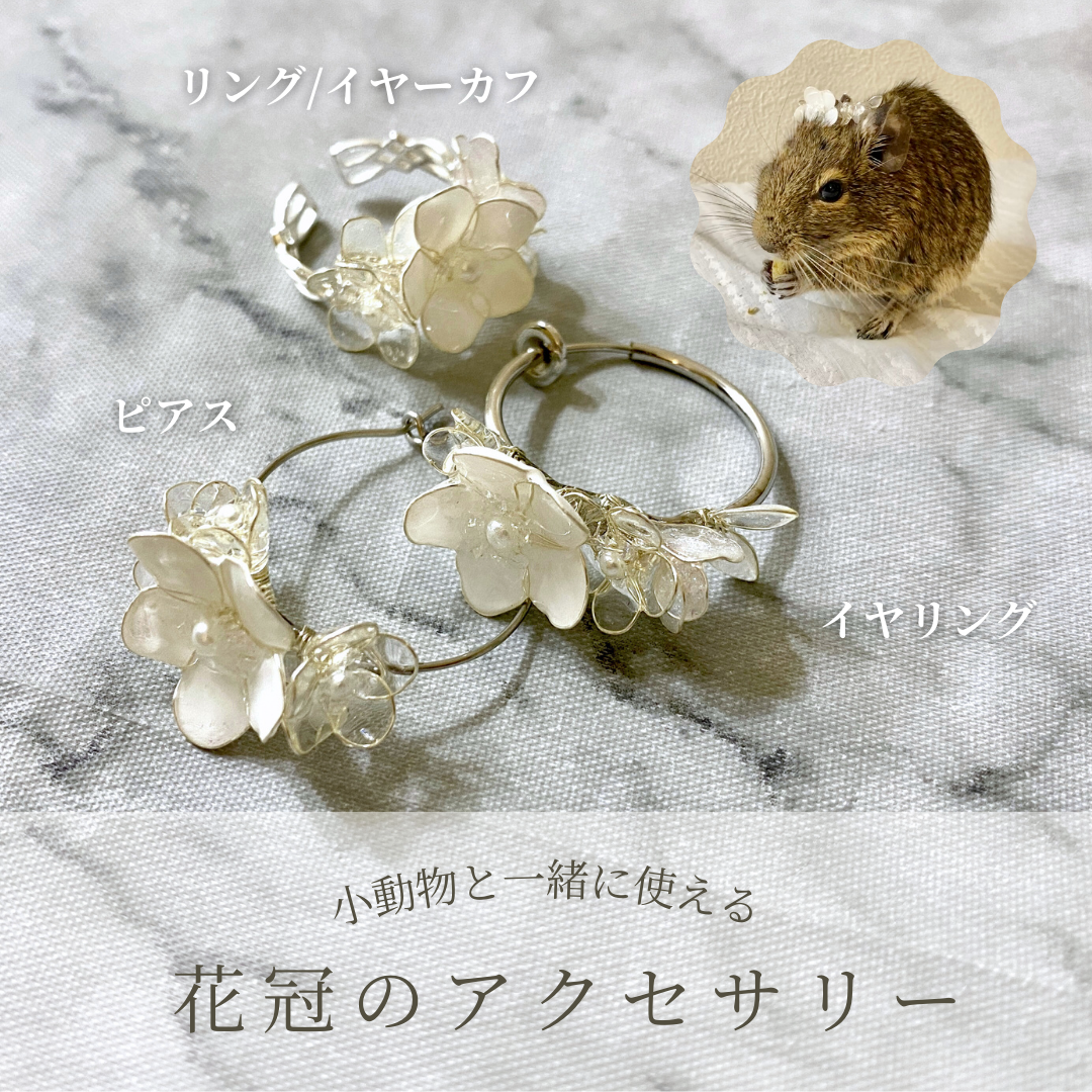 小動物と一緒に使える花冠のアクセサリー【Ggt】