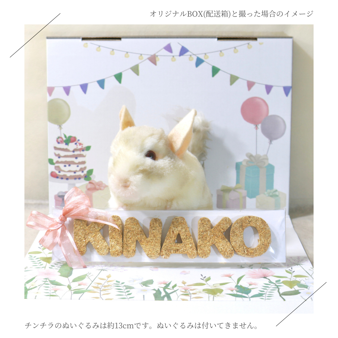 えん麦のカスタムクッキー【小動物用オーツ麦100%おやつ】