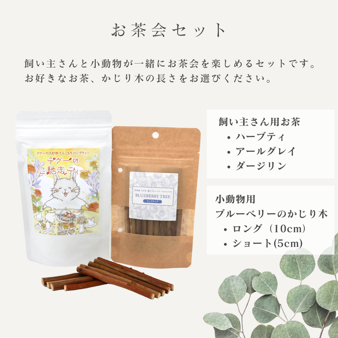 デグーと楽しむお茶&ブルーベリーのかじり木セット【がんものお店】