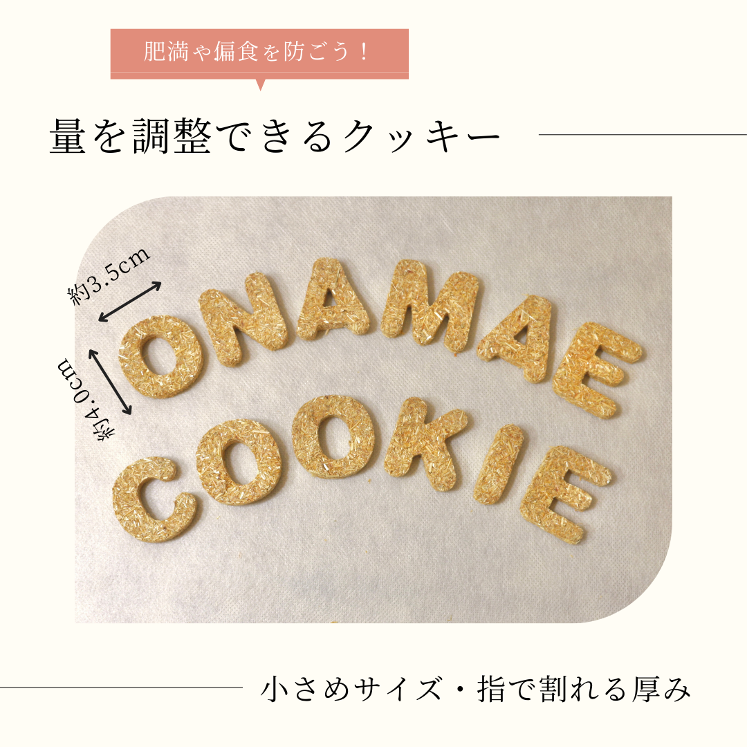 お名前オーツクッキー【ロングタイプ】