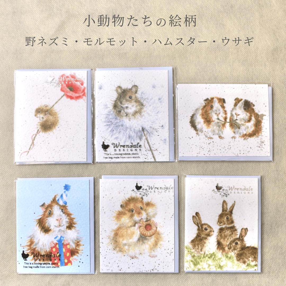 レンデール ミニメッセージカード