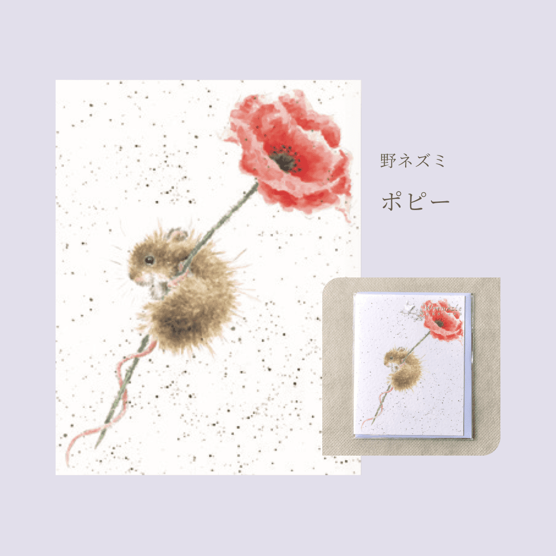 レンデール ミニメッセージカード