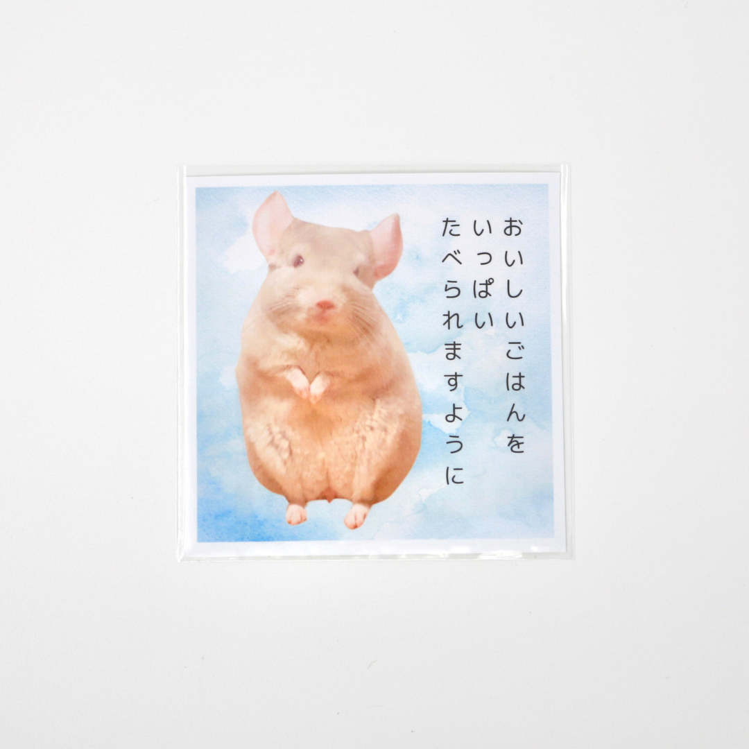 フォトカード<お好きな画像を印刷>