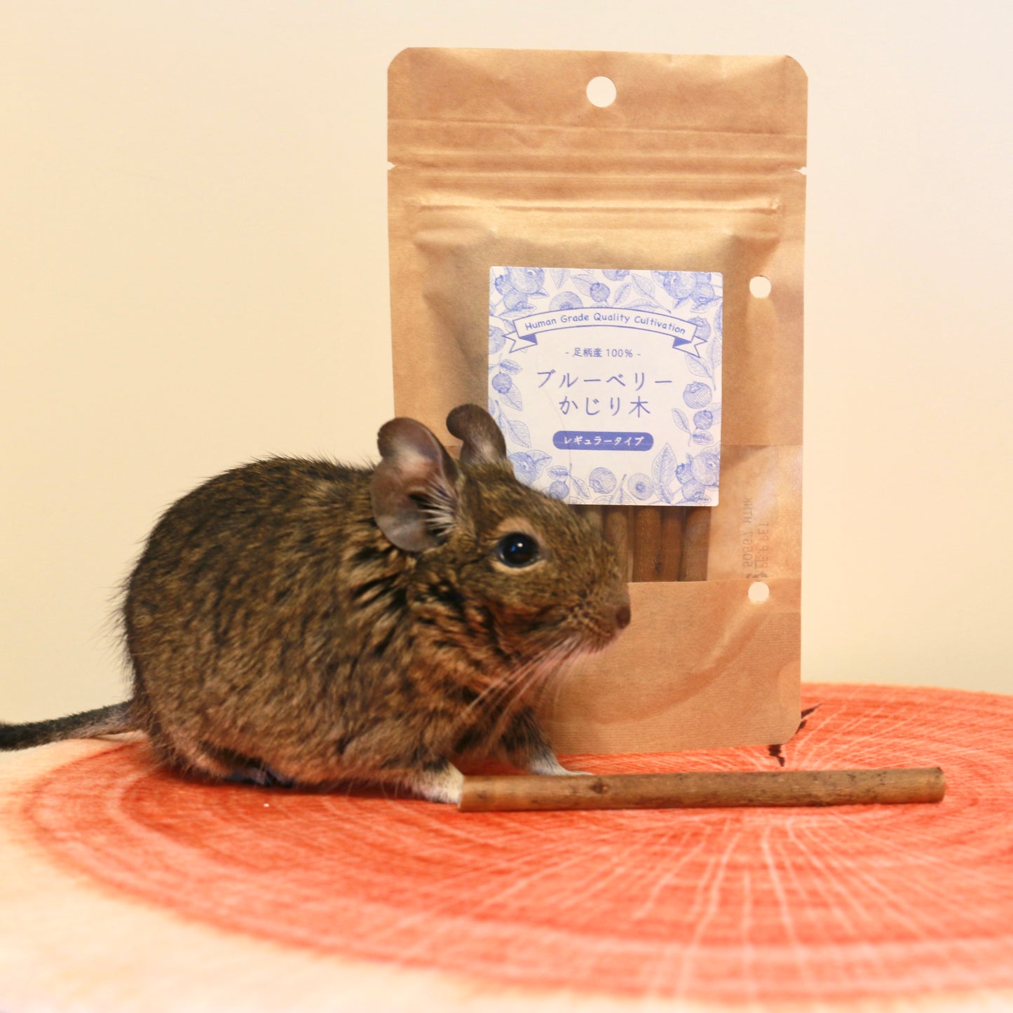 ブルーベリーのかじり木とデグー