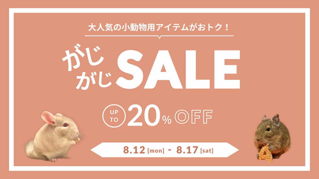 最大20％OFF!! 期間限定がじがじセール開催📣