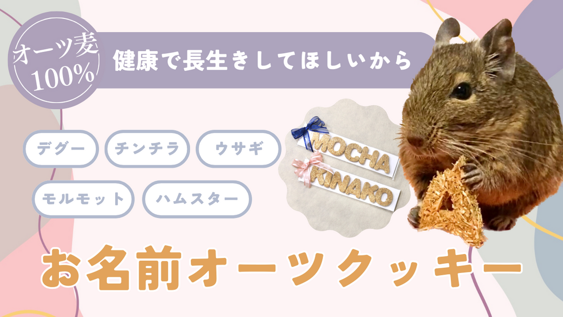 小動物の飼い主さんのプレゼントにおすすめ！健康にも嬉しい“お名前オーツクッキー”