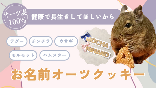 小動物の飼い主さんのプレゼントにおすすめ！健康にも嬉しい“お名前オーツクッキー”