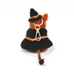 魔女の帽子＆ワンピース <ハロウィン限定>【sucoro.】