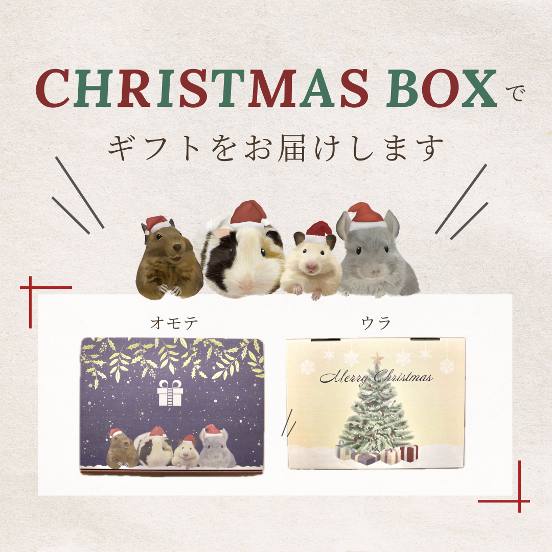 クリスマスギフト　靴下セット【受付終了】