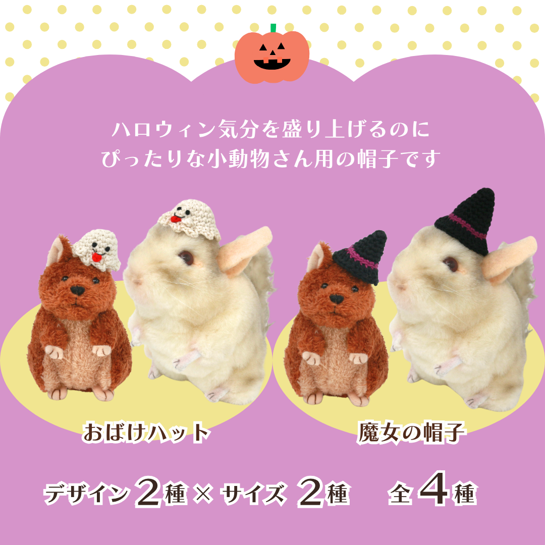 ちいさな魔法使いのハロウィンBOX（数量限定）