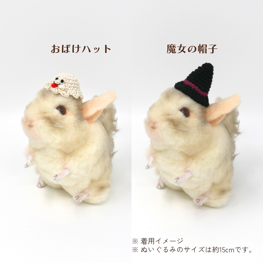 ちいさな魔法使いのハロウィンBOX（数量限定）
