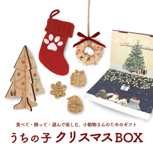 うちの子クリスマスBOX(小動物さん用・数量限定)