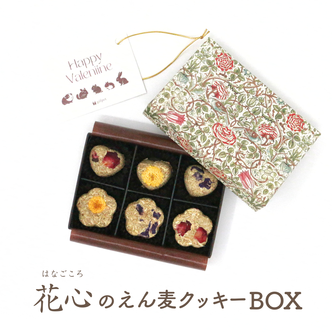 花心のえん麦クッキーBOX（小動物さん用おやつ）