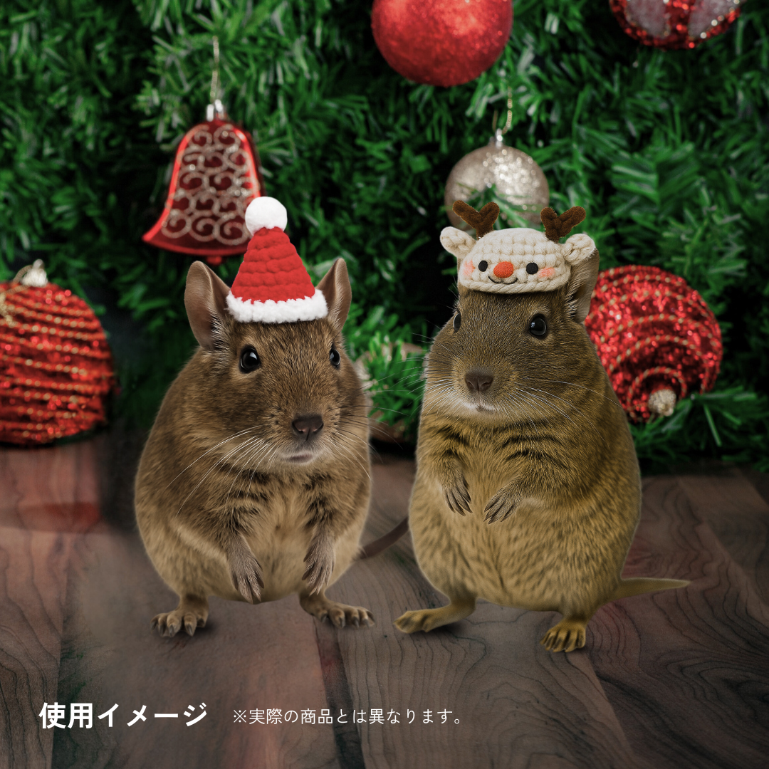 小動物用クリスマス帽子（サンタさん・トナカイさん）＜数量限定＞【sucoro.】