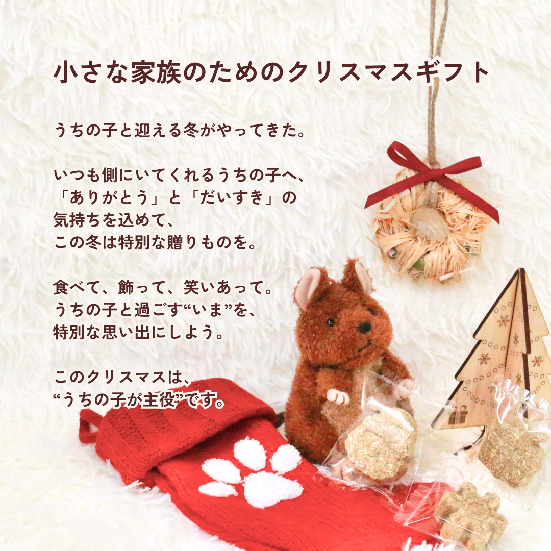うちの子クリスマスBOX（小動物さん用・数量限定）