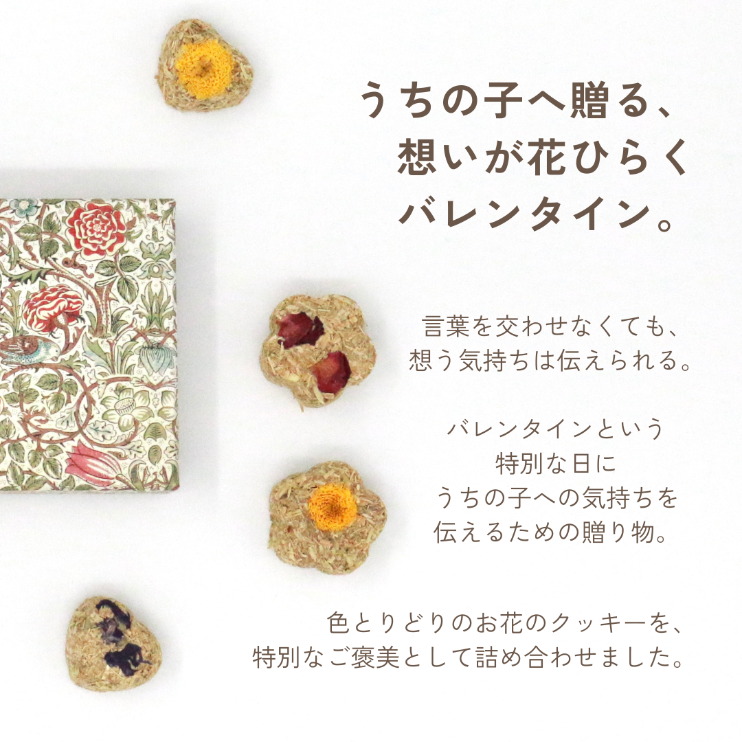 花心のえん麦クッキーBOX（小動物さん用おやつ）