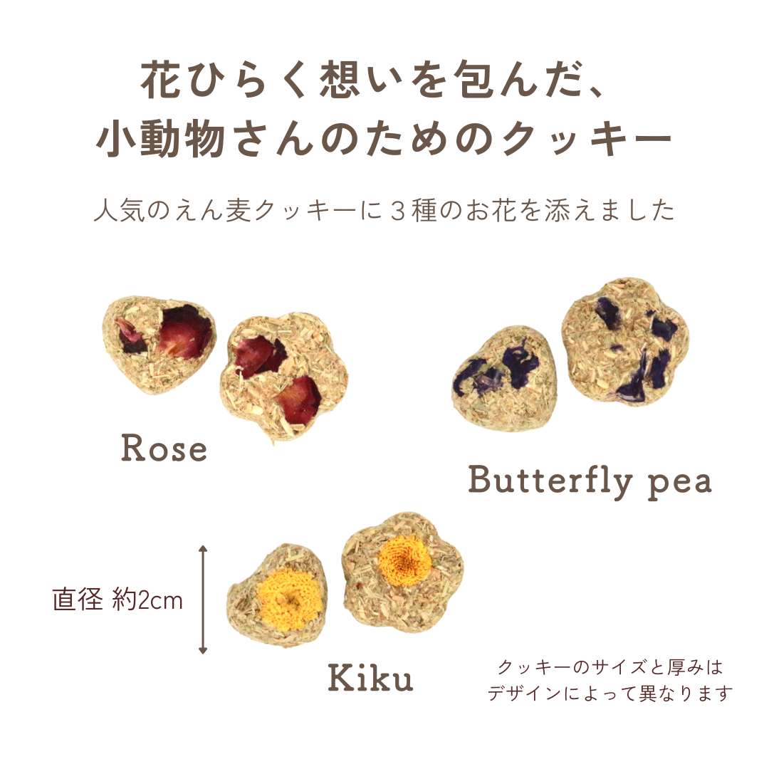 花心のえん麦クッキーBOX（小動物さん用おやつ）