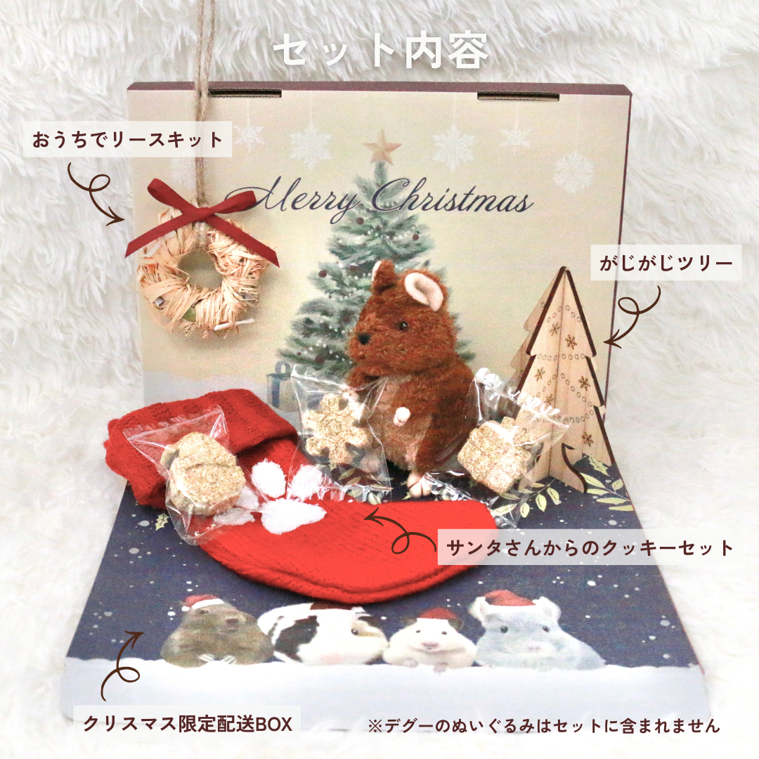 うちの子クリスマスBOX（小動物さん用・数量限定）