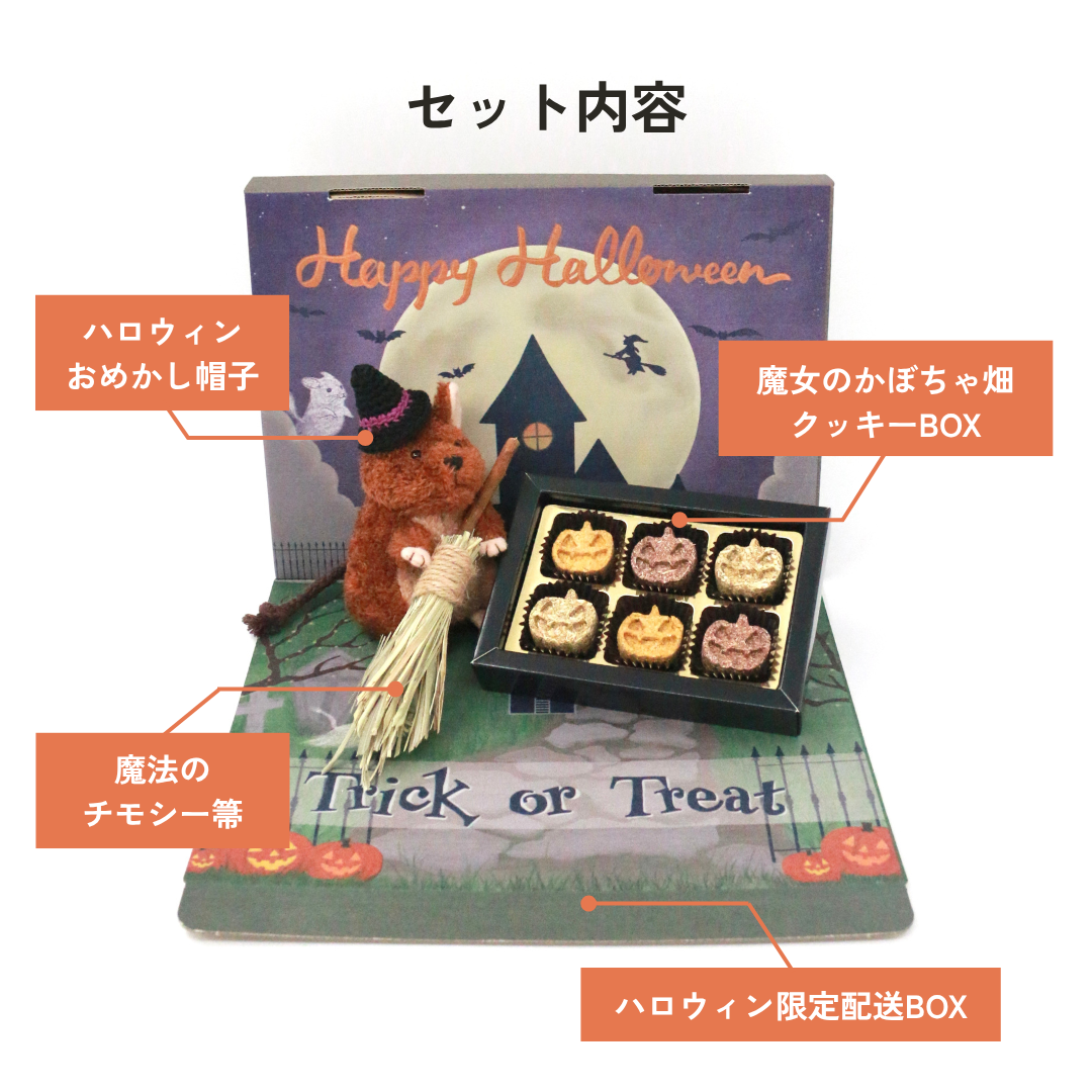 ちいさな魔法使いのハロウィンBOX（数量限定）