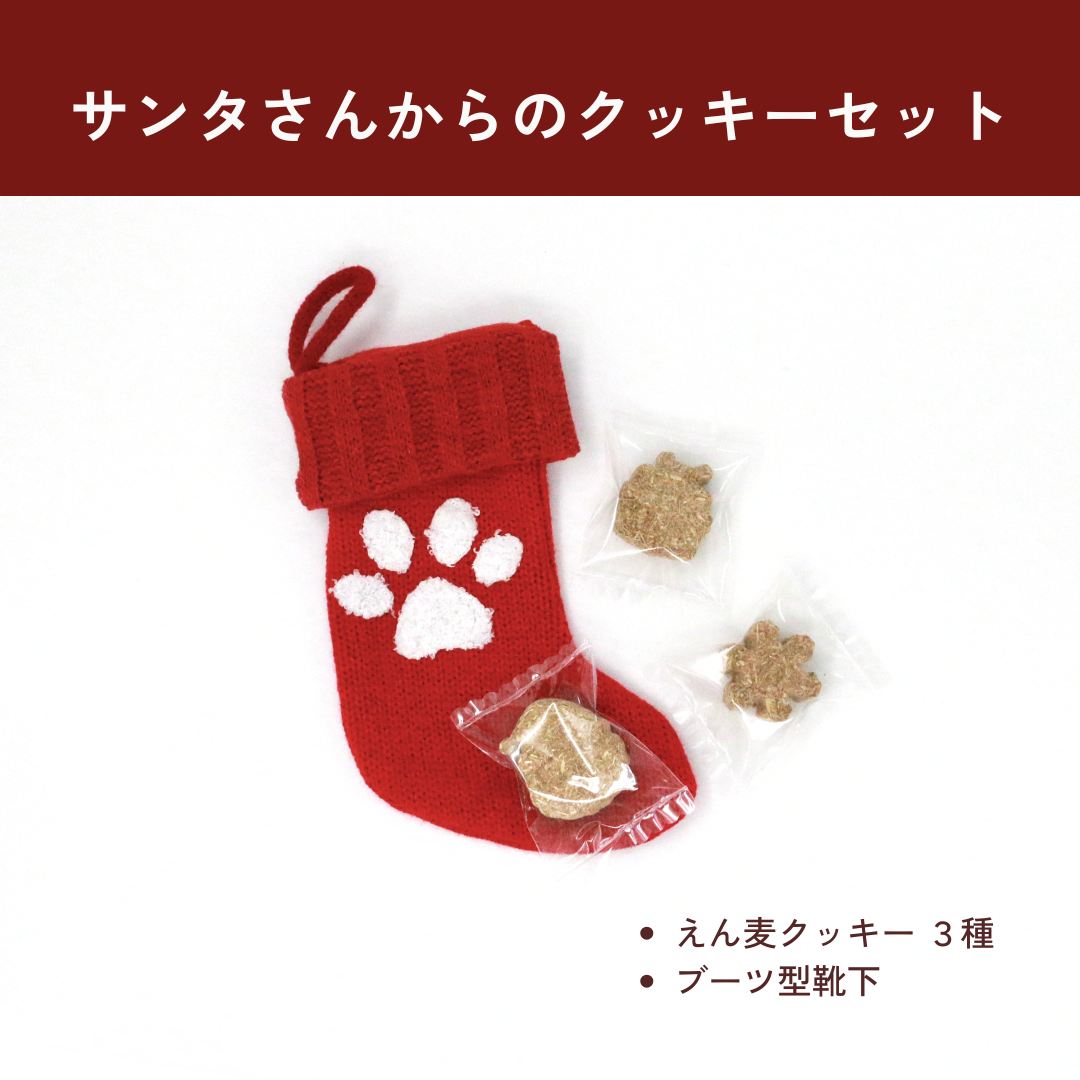 うちの子クリスマスBOX（小動物さん用・数量限定）