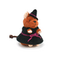 魔女の帽子＆ワンピース <ハロウィン限定>【sucoro.】