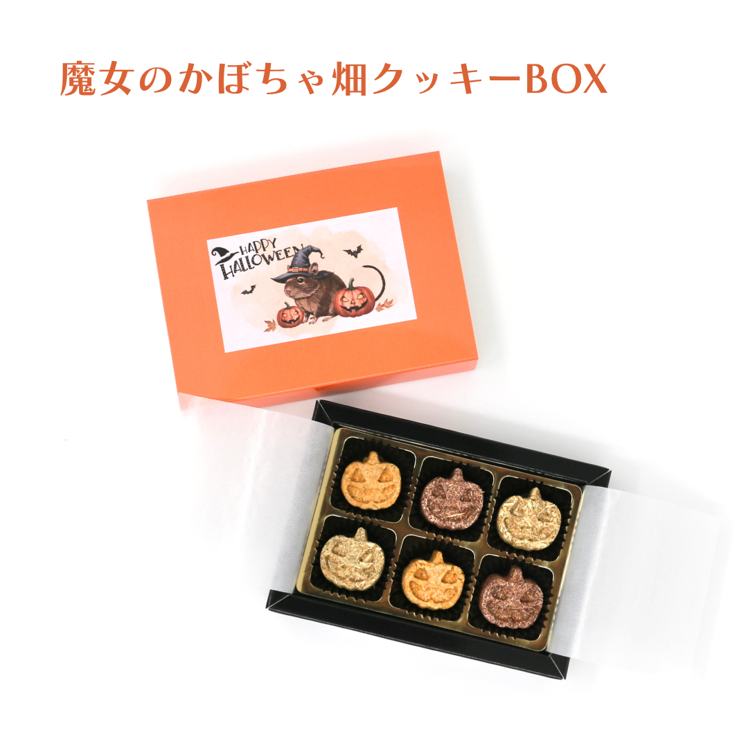 ちいさな魔法使いのハロウィンBOX（数量限定）
