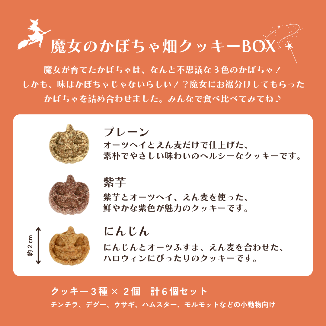 魔女のかぼちゃ畑クッキーBOX＜単品＞（数量限定）