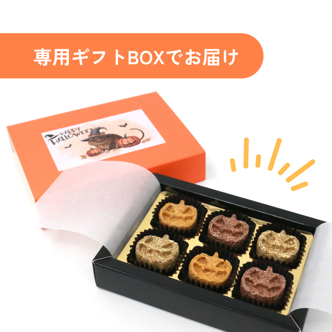 魔女のかぼちゃ畑クッキーBOX＜単品＞（数量限定）