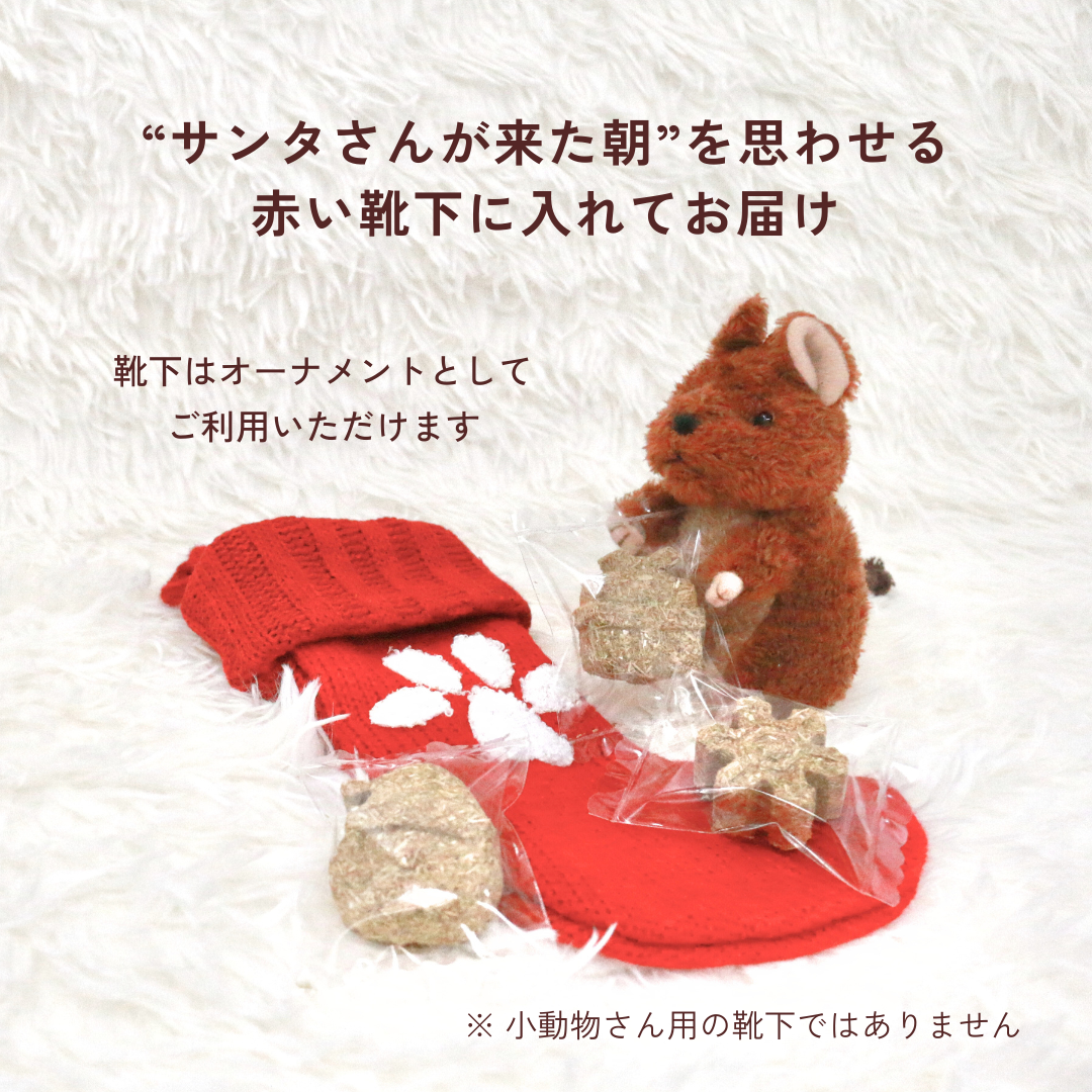 うちの子クリスマスBOX（小動物さん用・数量限定）