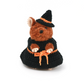 魔女の帽子＆ワンピース <ハロウィン限定>【sucoro.】