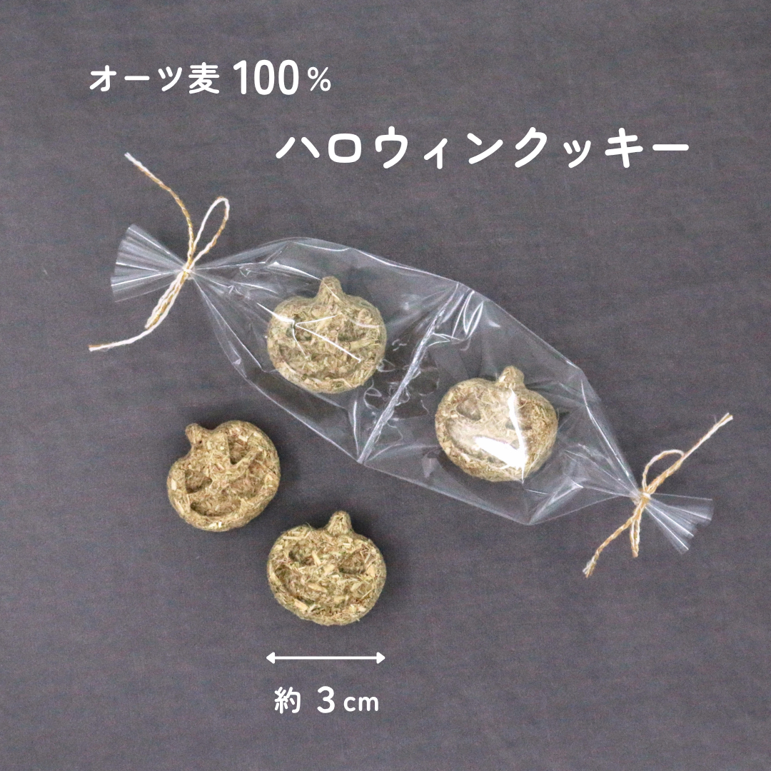 がじがじハロウィンセット｜小動物用かじり木＆えん麦クッキー（数量限定）