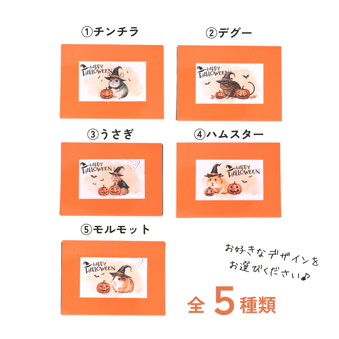 魔女のかぼちゃ畑クッキーBOX＜単品＞（数量限定）